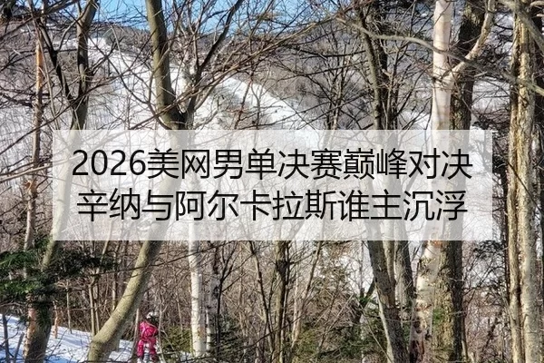 mei-wang-nan-dan-jue-sai-dian-feng-dui-jue-xin-na-yu-a-er-ka-la-si-shui-zhu-chen-fu-2-740.jpg