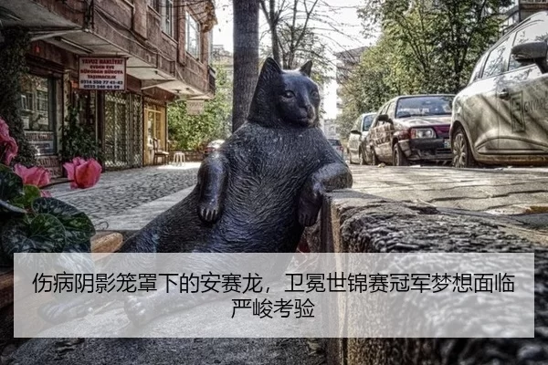 shang-bing-yin-ying-long-zhao-xia-de-an-sai-long-wei-mian-shi-jin-sai-guan-jun-meng-xiang-mian-lin-yan-jun-kao-yan-3-207.jpg
