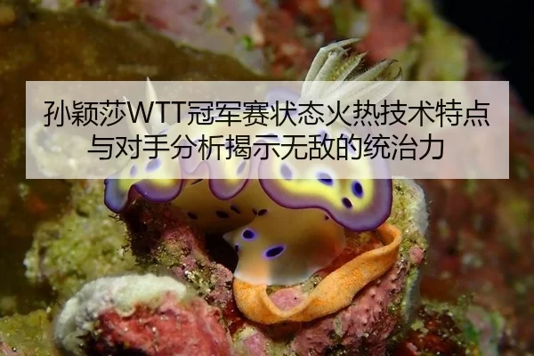 孙颖莎WTT冠军赛状态火热技术特点与对手分析揭示无敌的统治力